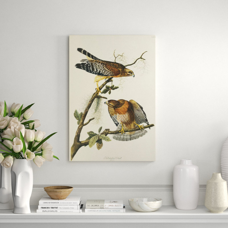 Red Shouldered Hawk Print by James Audubon, Glass Coat, 35" H x 24" W x 1.5" D 