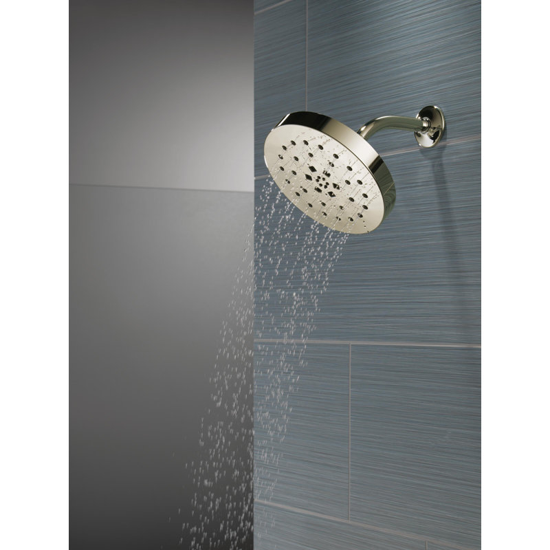 Multi Function Adjustable Shower Head, Polished Nickel