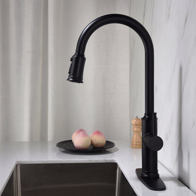 Robinet de cuisine avec douchette extractible