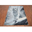 Tapis moderne majestueux 6 x 8 Majestic Tiger
