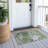 Ravetsky Washable Abstract Indoor / Outdoor Rug-789631976