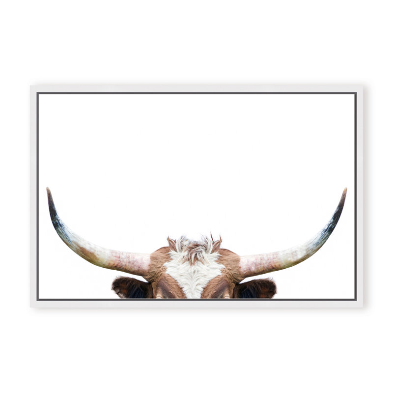 Nature Inspired Peeking Longhorn Cow by  - Picture Frame Photograph on Paper, 16" H x 24" W x 1.125" D, Framed Matted Print