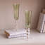 Glass Flute-1738813106