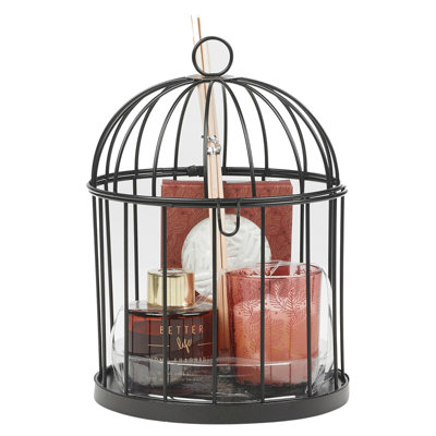 Reed Diffusers And Sticks