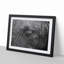 Elephant - Picture Frame Graphic Art Print-55725310-55725311
