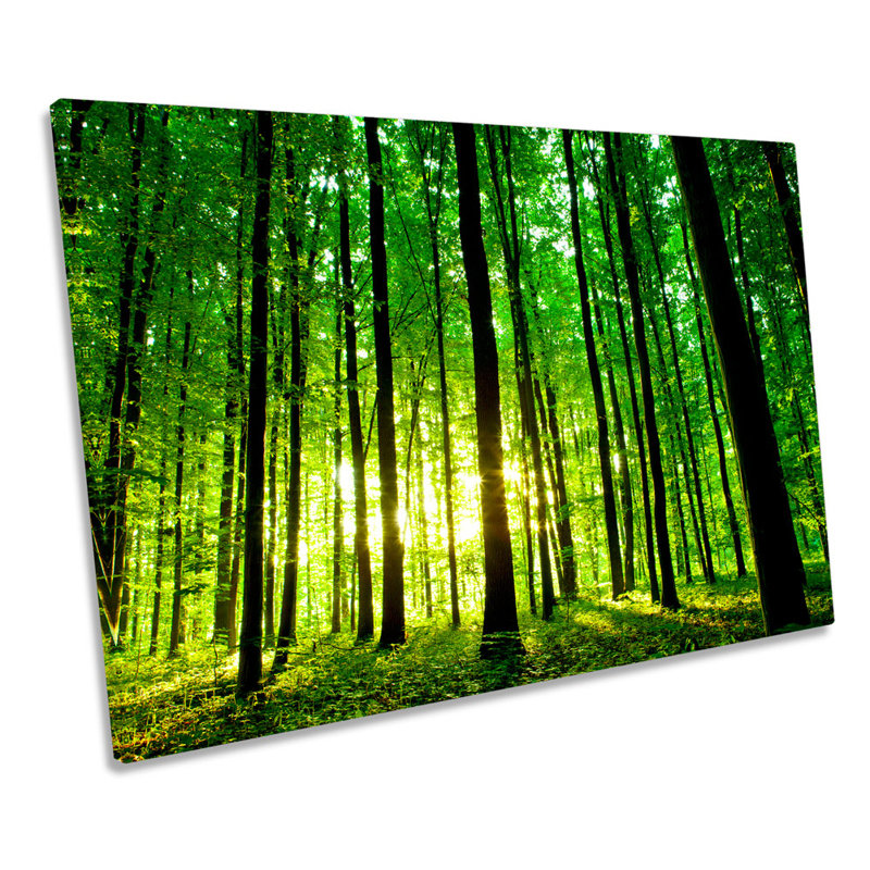 Forest Landscape Sunrise - Wrapped Canvas Print, 40.6cm H x 61cm W x 2cm D