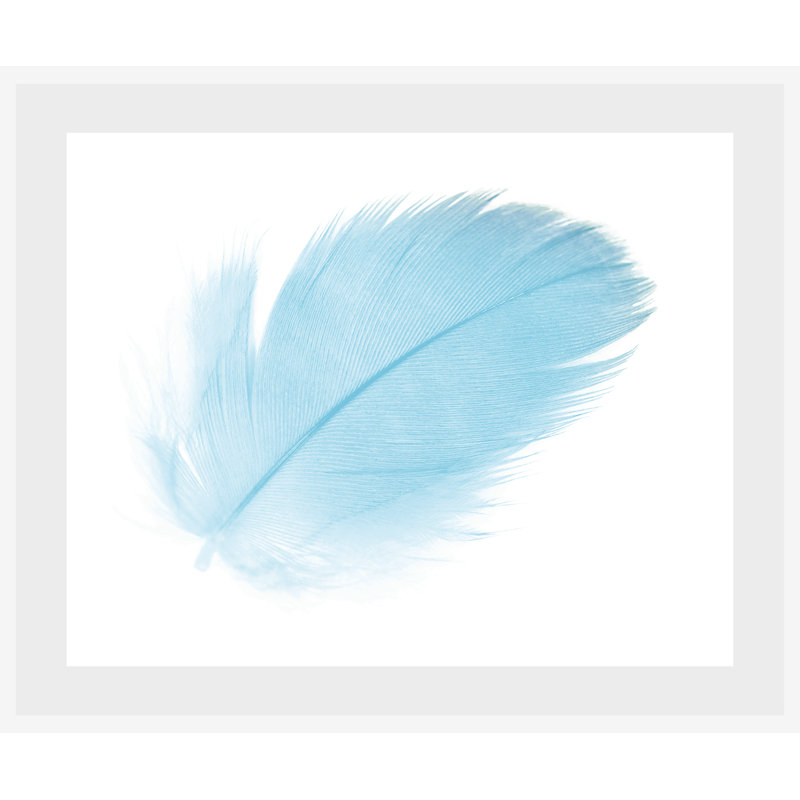 Feder - Single Picture Frame Print, Aqua