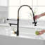Robinet de cuisine HOOSENG-97011231