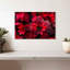 Harnek Dewy Poinsettia-108908449