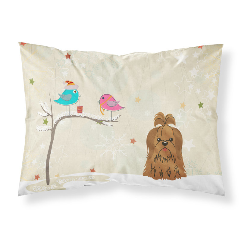 Microfiber, Chocolate Shih Tzu
