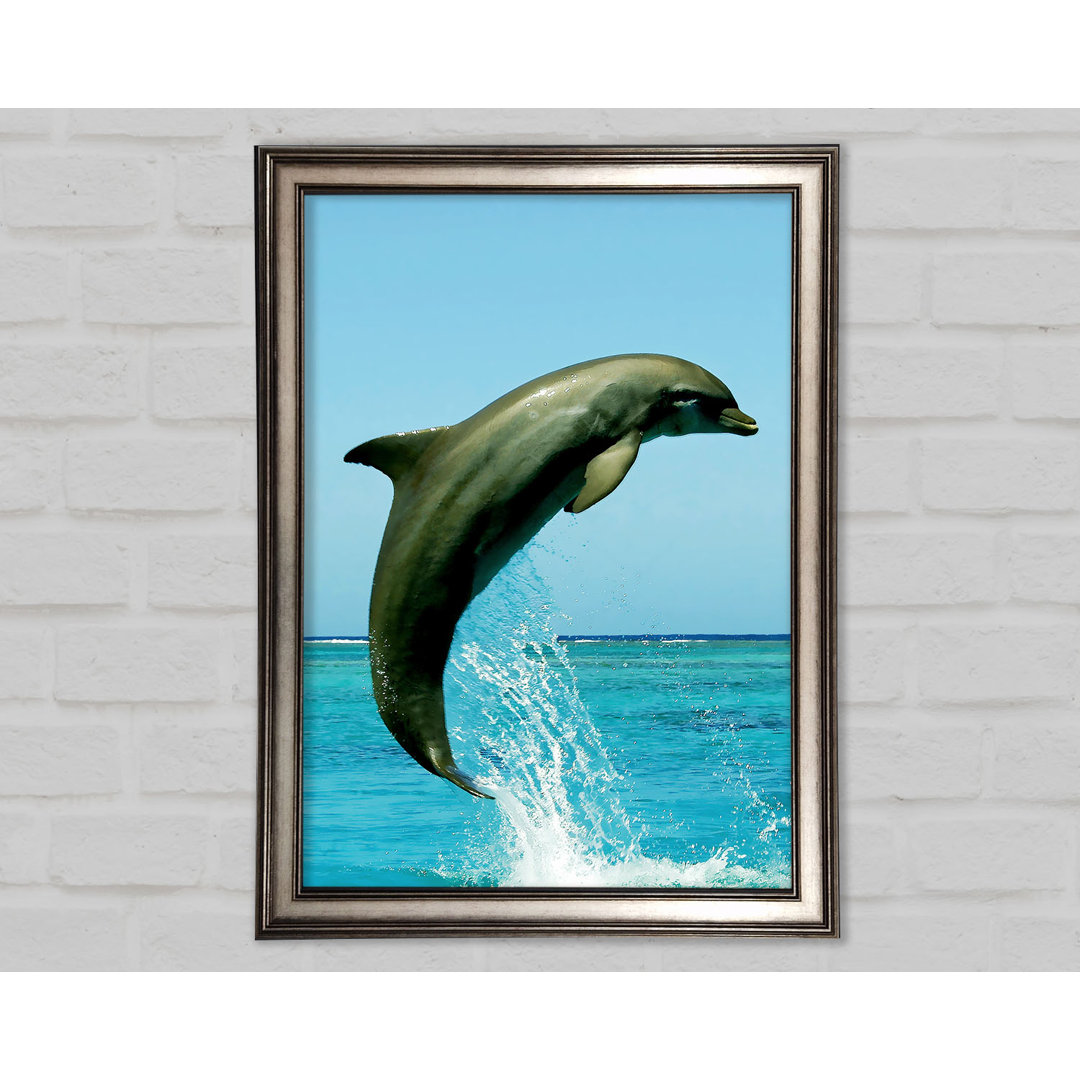 Gerahmtes Bild Dolphin Jump