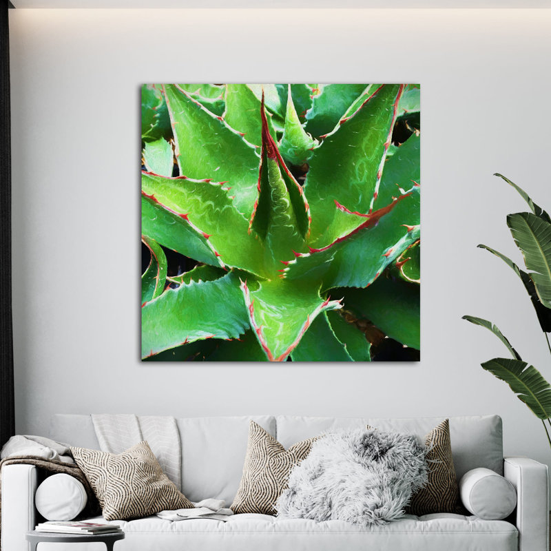 " Agave Montana ", 36" H x 36" W x 1.5" D