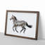 Horse Deconstructed in Abstract - Picture Frame Painting Print-55763816-55763815