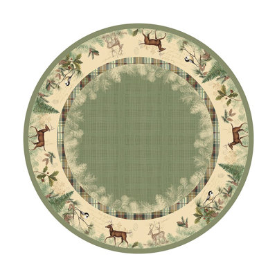 Nappe Woodland Forest