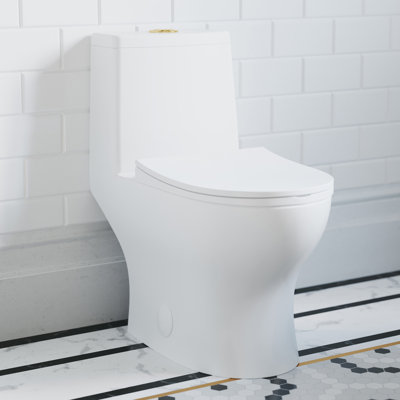 Ivy One Piece Toilet Dual Vortex Flush, Brushed Gold Hardware 1.1/1.6 gpf