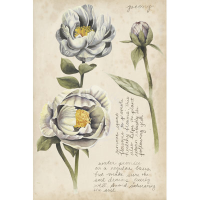 Études de jardin IV