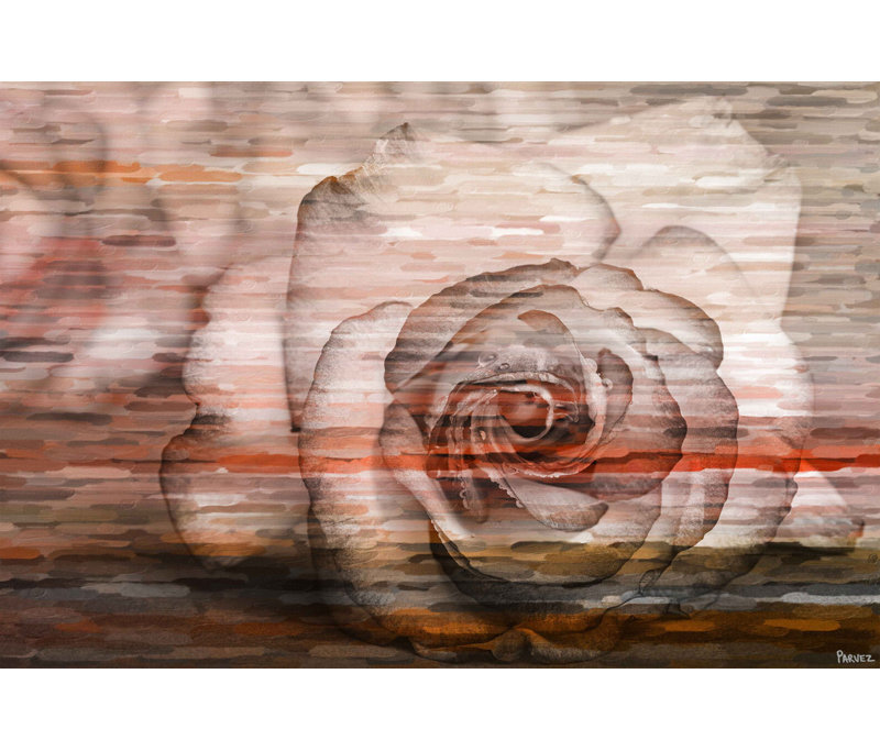 Parvez Taj - Wrapped Canvas Print, 76cm H x 114cm W