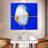 Brampt Pompadour Discus Fish