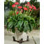 Io Weather Resistant Planter Feet