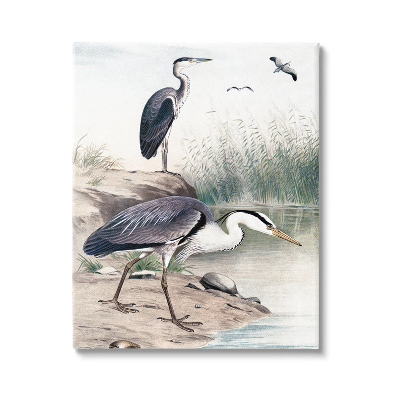 Héron sur la côte de Pampas par Piddi - peinture, Toile tendue, H 20 po x l 16 po x P 1,5 po