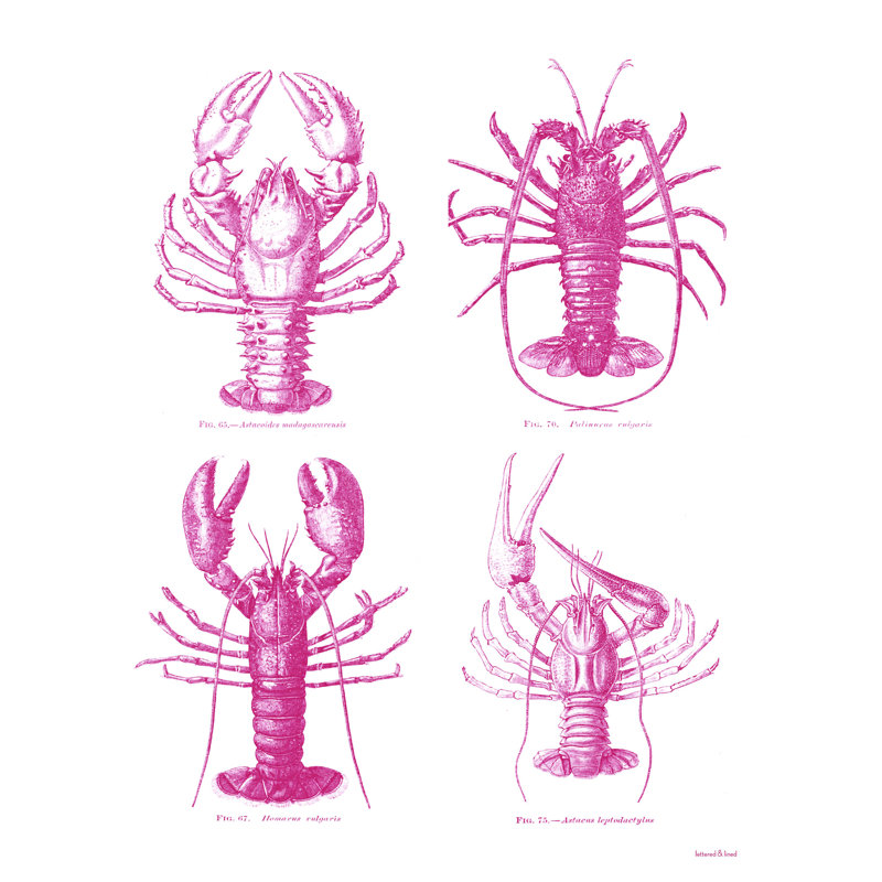 Homards - reproduction sur toile tendue, H 16 po x l 12 po