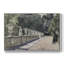 "Botanique rétro" sur toile-937380048-937380063