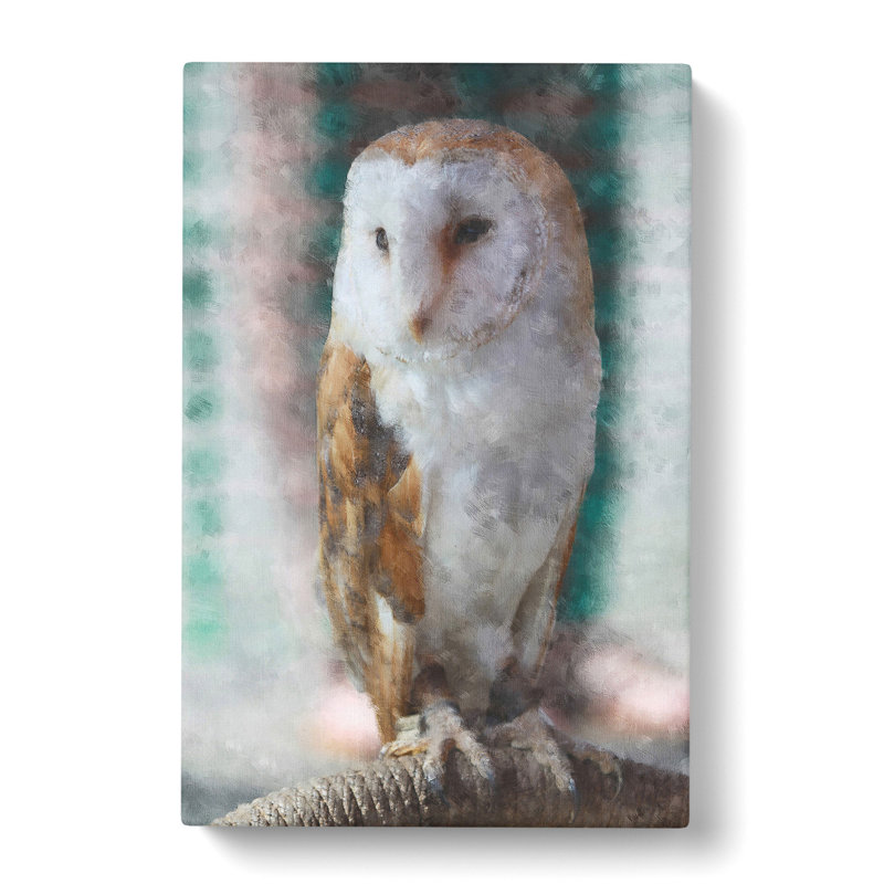 Barn Owl Vol.7 - Wrapped Canvas, 60cm H x 40cm W x 3cm D