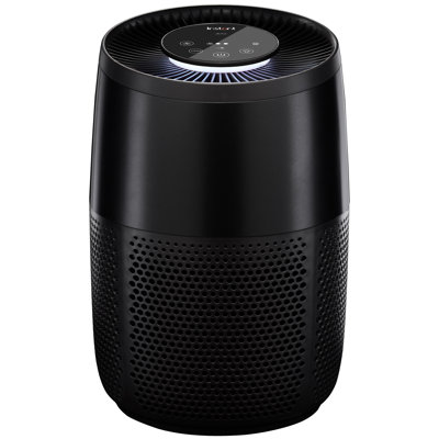 Instant Air Purifier with True HEPA