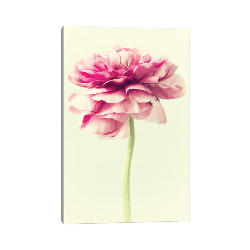 Lush Botanical I by Judy Stalus - Wrapped Canvas Gallery-Wrapped Canvas Giclée, 45.72cm H x 30.48cm W