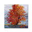 «Jenece Stormlight» par Mandy Budan, reproduction d'art sur toile-280830681