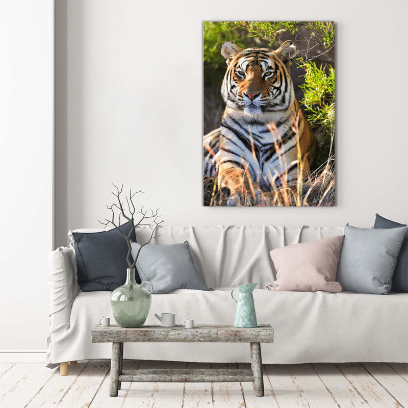 Tiger - Wrapped Canvas Print