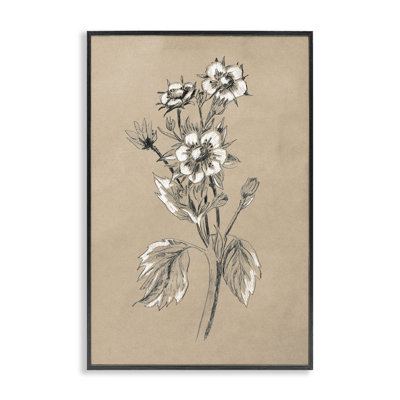 Apple Blossom Drawing June Erica Vess bg-088