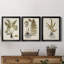 Fern Botanical IV - Ensemble de 3 peintures sur toile encadrées-131489271-131489276