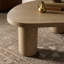 Joji Coffee Table-664065275