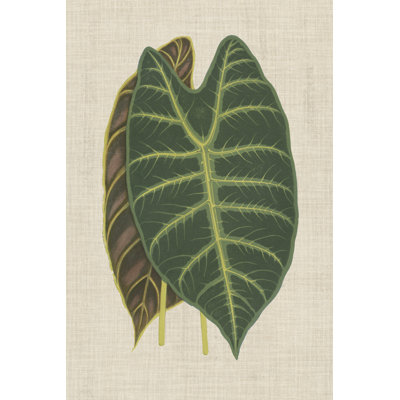 Leaves on Linen III - Graphic Art