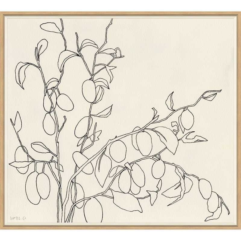 «Olives» par Susan Hable - reproduction de photo encadrée sur papier