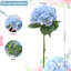 Arrangement-1854758671