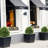 27.5'' Faux Cedar Topiary in Pot