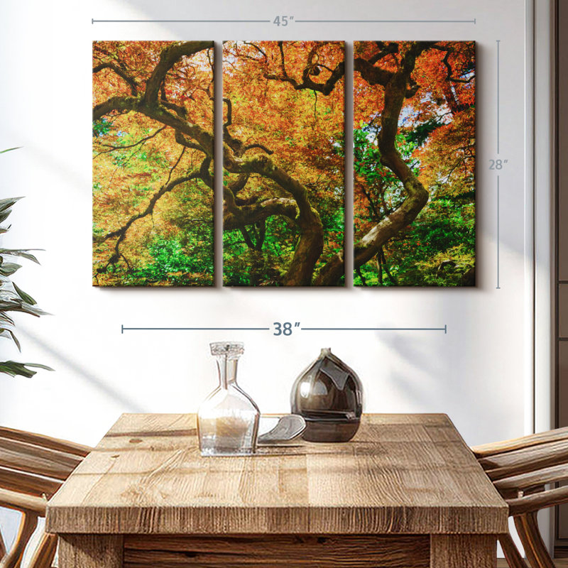 Nature «Mossy Maple Tree Canvas Print» sur, H 28 po x l 45 po x P 1,25 po