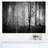 «Morning in Thick Fall Forest», reproduction d'impression sur toile