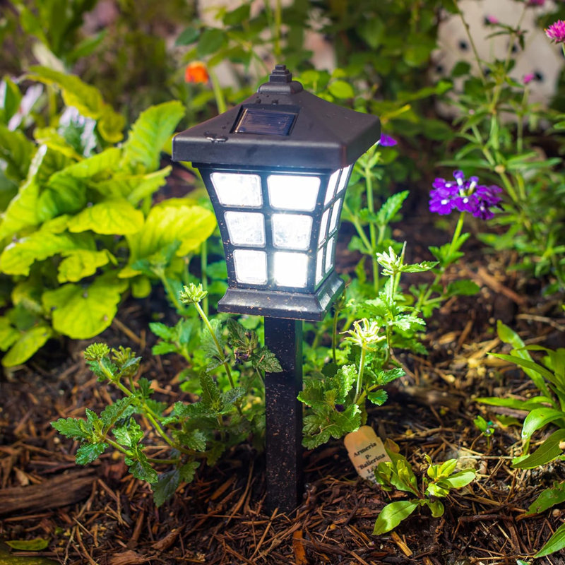 Black Solar LED Pathway Light Pack with Dusk to Dawn Sensor
