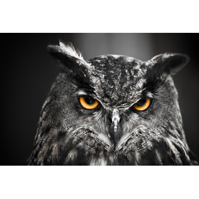" Portrait Of A Owl " by 2Xwilfinger