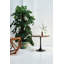 Turlock Pedestal End Table