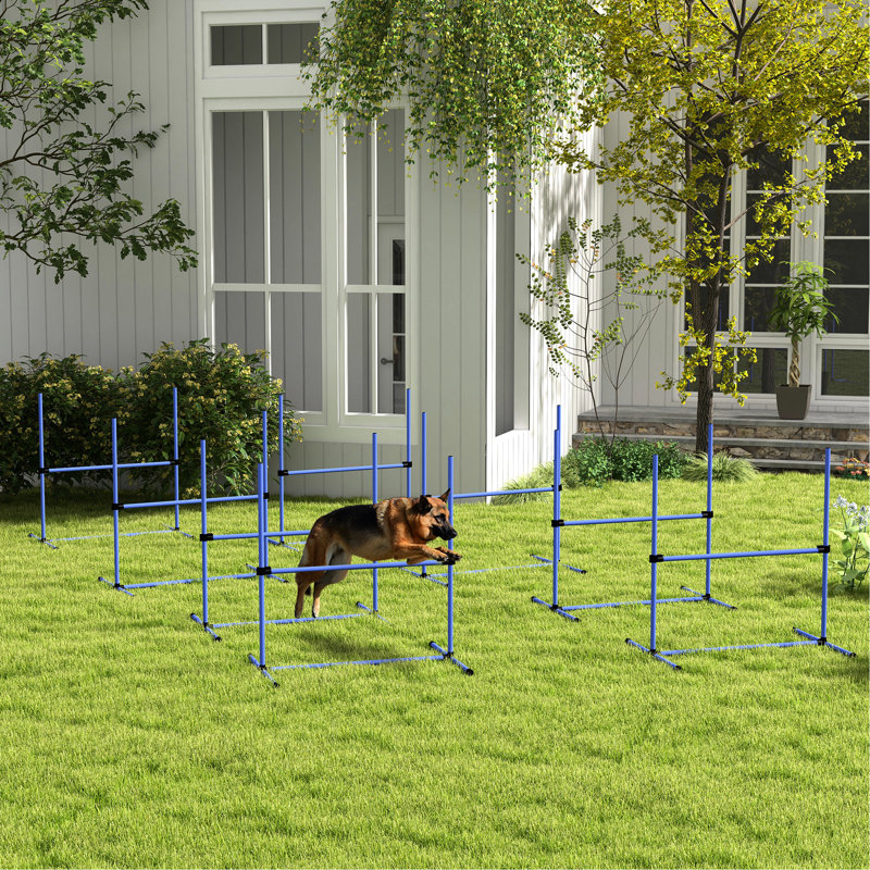 Équipement de dressage d'agilité pour chien 8 pièces avec barres réglables, couleur bleue, sac de transport pour garder en place l'ensemble de rangement pratique pour sauter à la maison