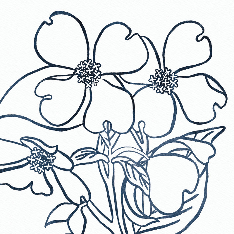 Print on Canvas, 122cm H x 81cm W x 3.8cm D