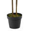 Larson 48'' Faux Dracaena Plant in Planter