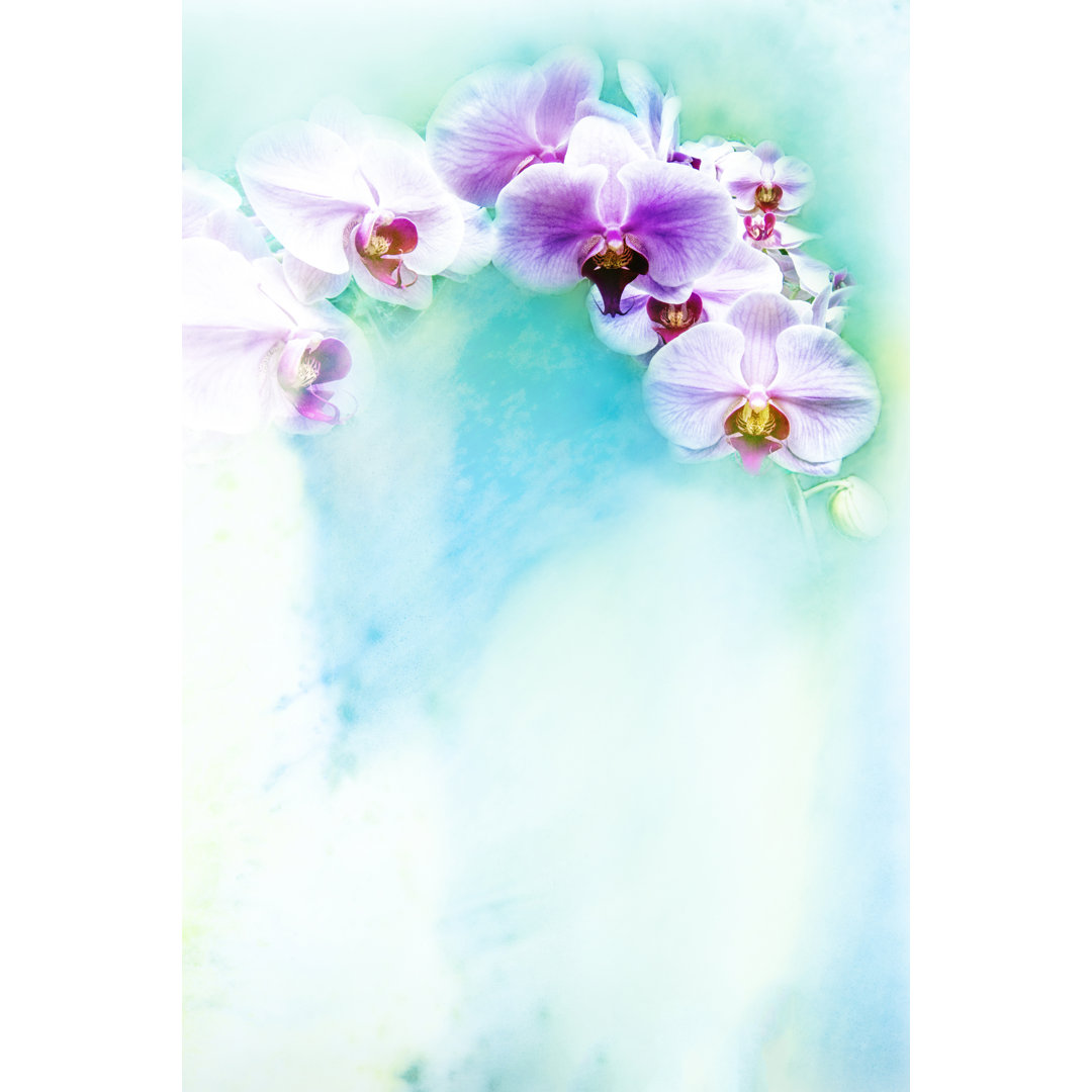 Blumen-Aquarell-Illustration. - Druck