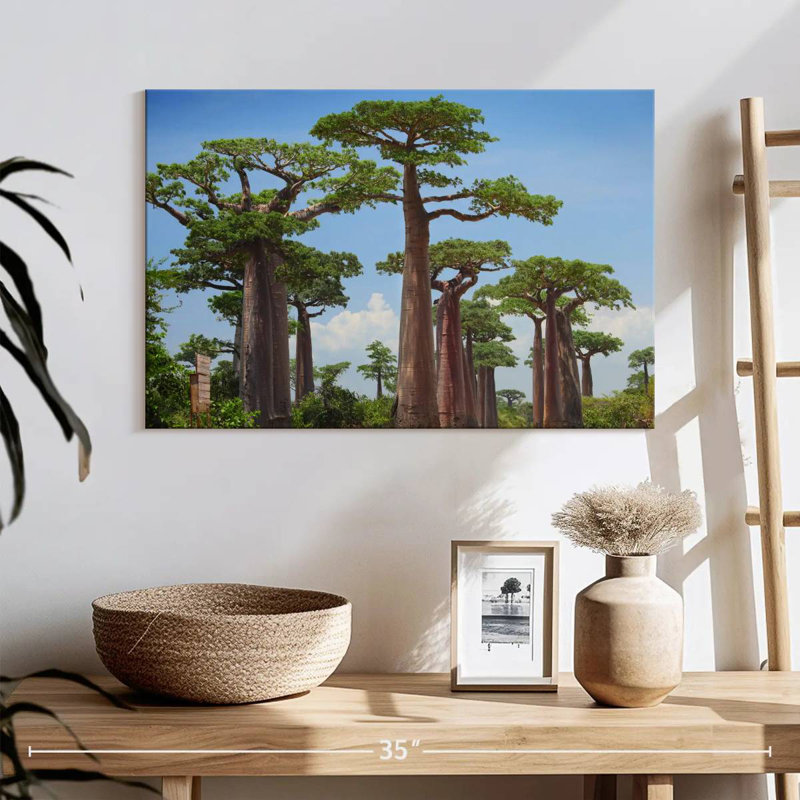 Réserve Harnek Baobab, H 16 po x l 24 po