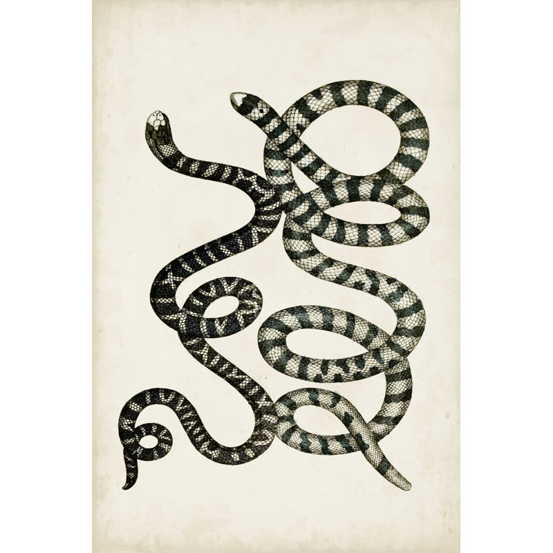 Serpents antiques VI, H 30 po x l 20 po
