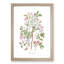 Pink Smooth Rose Flower Illustration - Framed Print-55769730-55769734